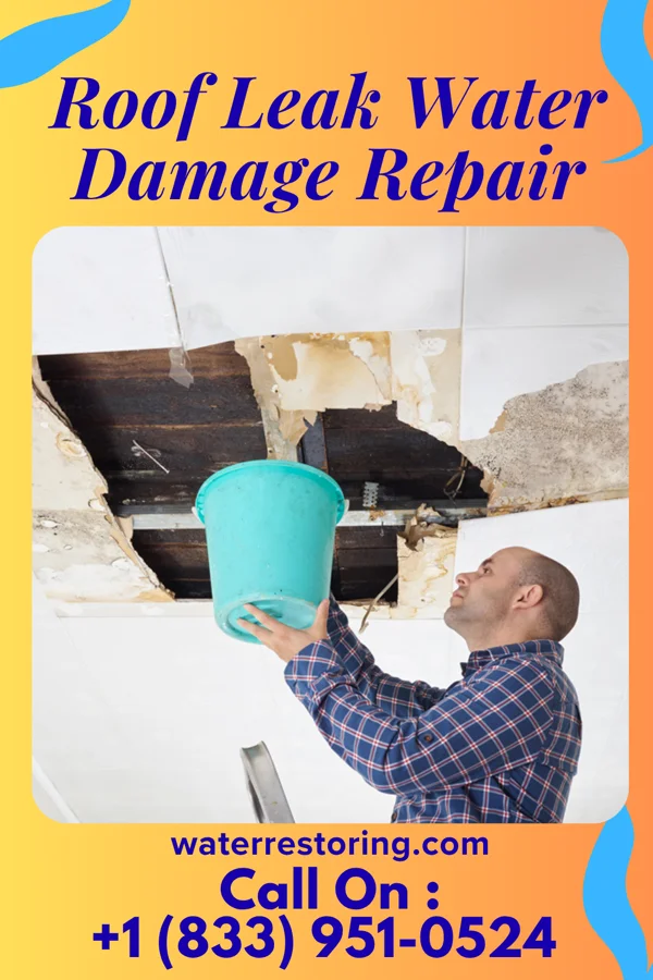 Roof Leak Water Damage Repair in Wartrace, TN