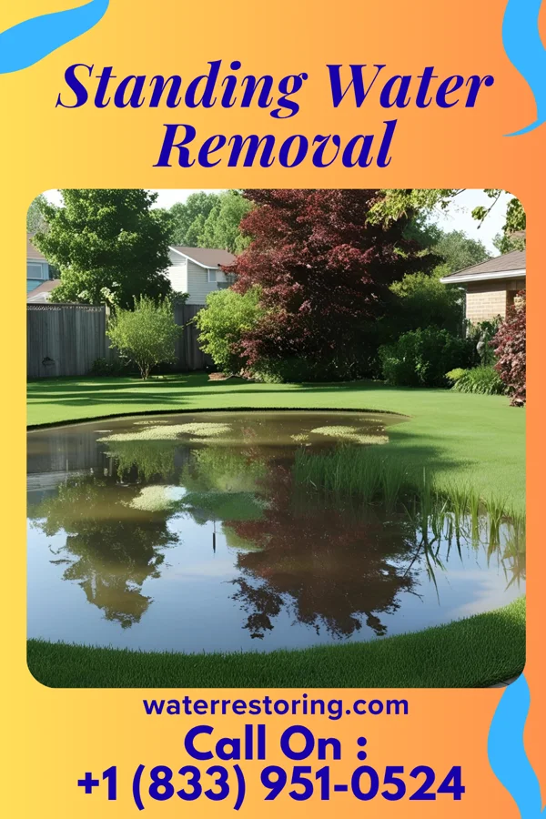 Standing Water Removal in Wartrace, TN